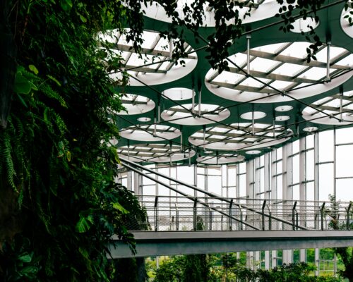 Building Beyond Net-Zero: The Rise of Regenerative Architecture