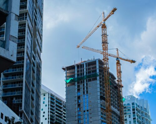 Biomimetic Design & Mass Timber: The Future of Urban Construction